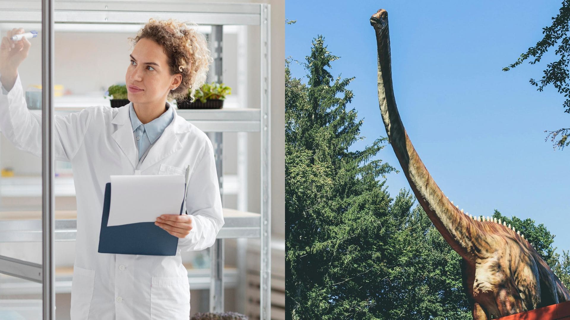 Vedkyňa a dinosaurus.