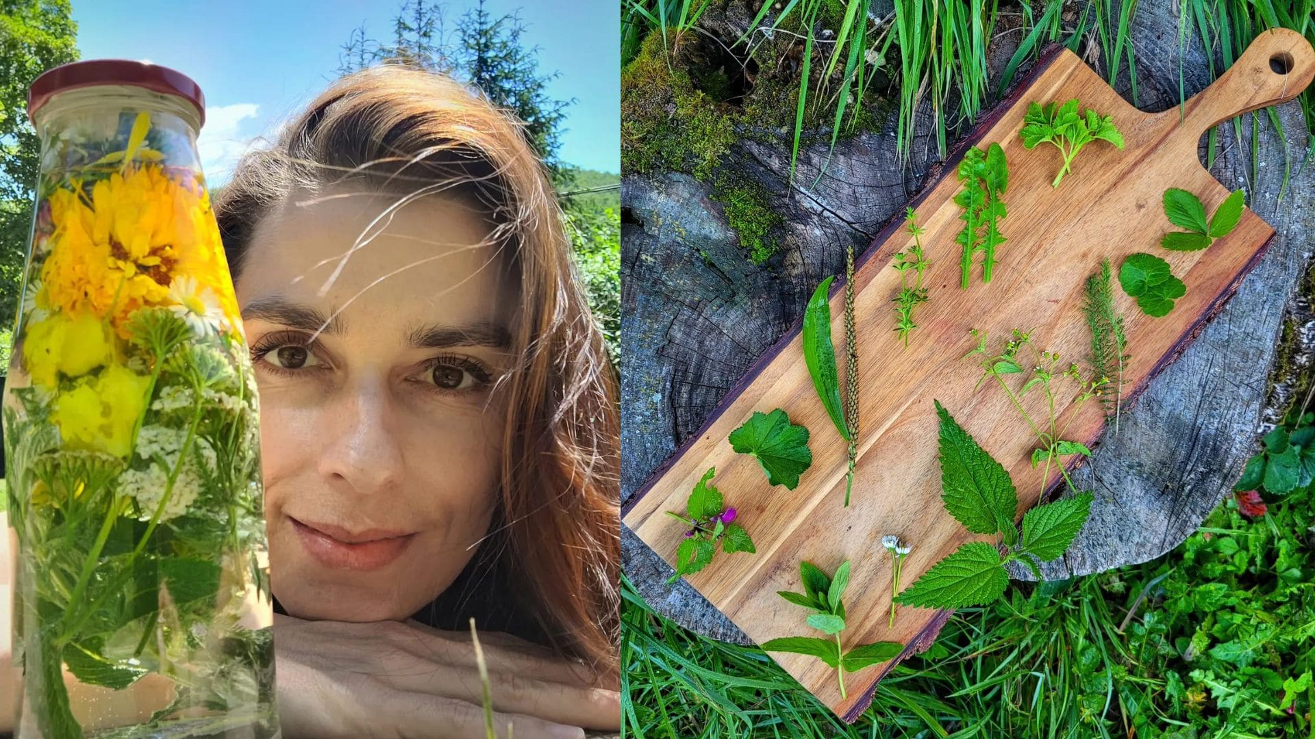 Diana Mozoláková, Divoká strava, rastliny