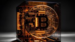 Kryptomeny v tomto roku