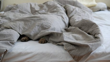 Ranný rituál ustielania