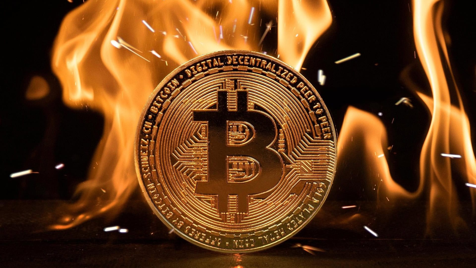 Bitcoin prepadol hranicu 80 000 USD