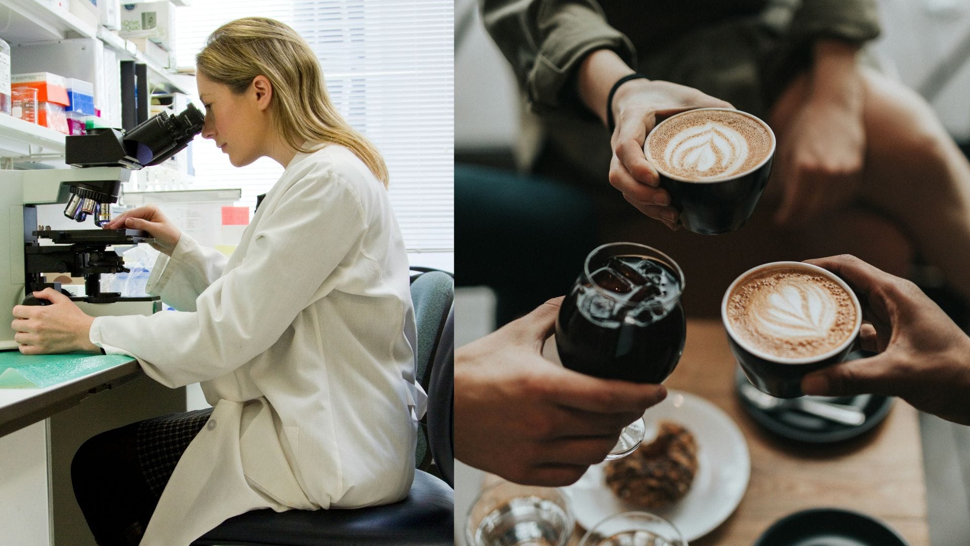 mikroskop, výskum, káva, kaviareň