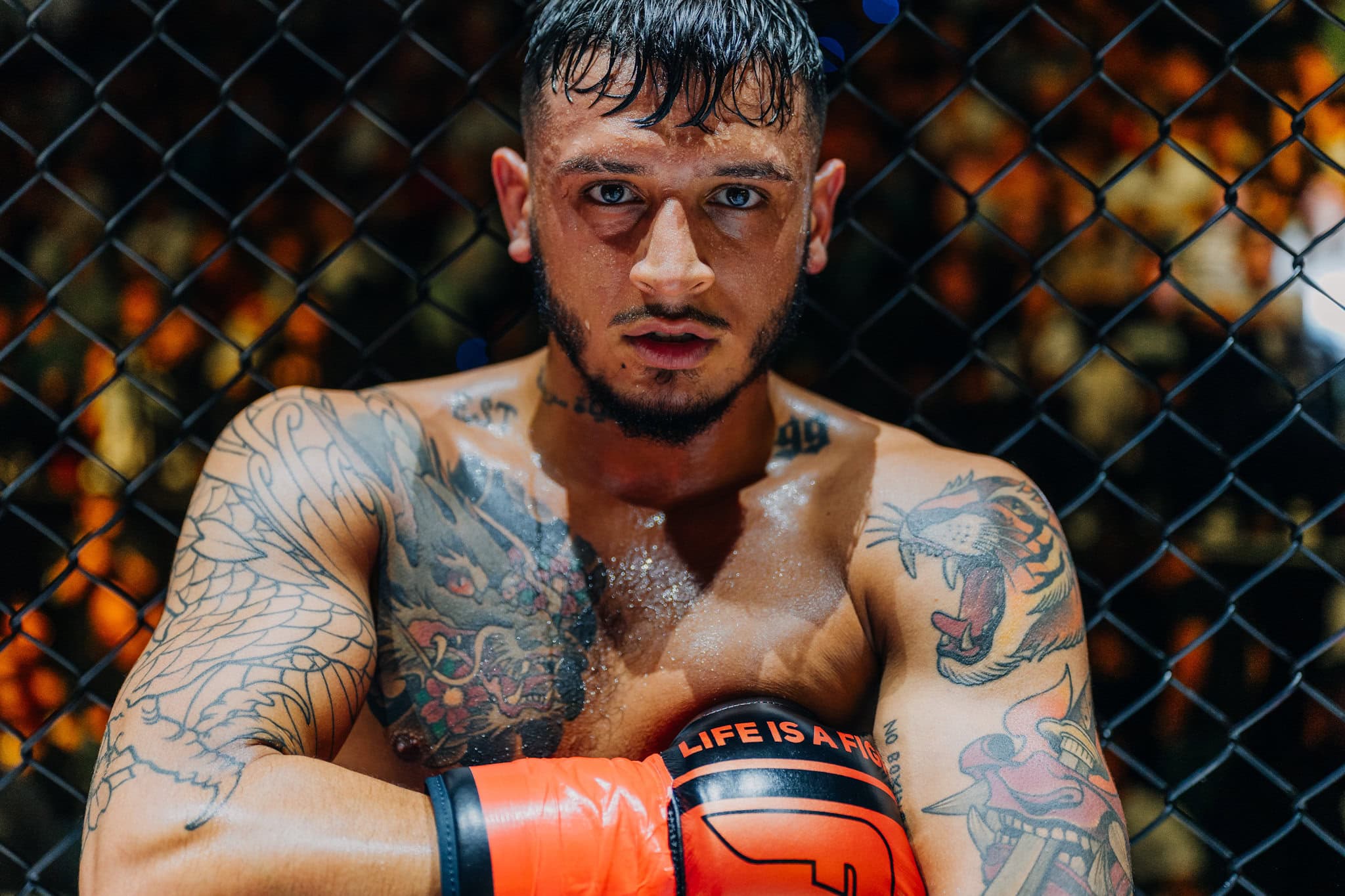 Photo 28.09.2024, 21 35 11