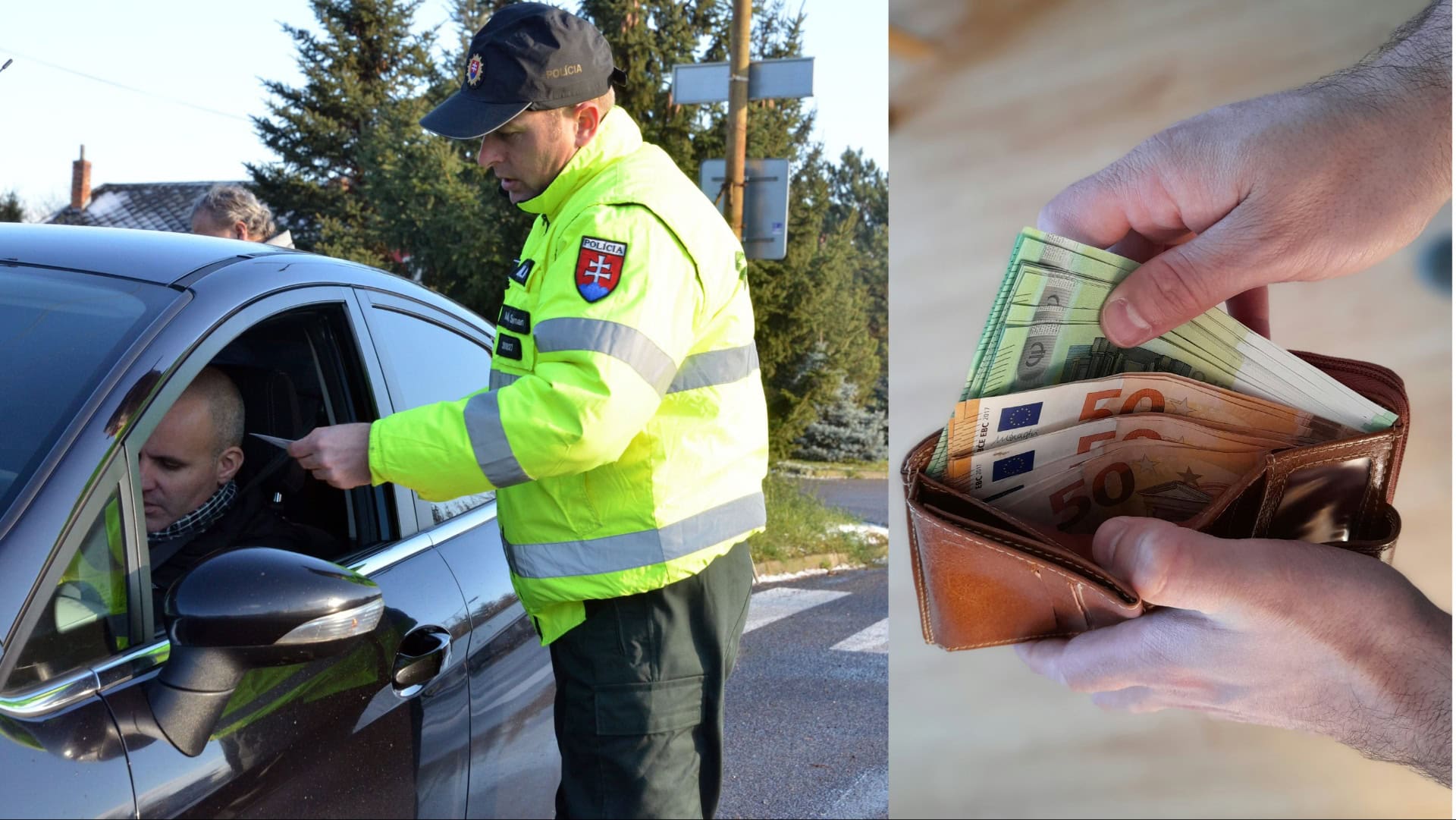 polícia zastavila vodiča