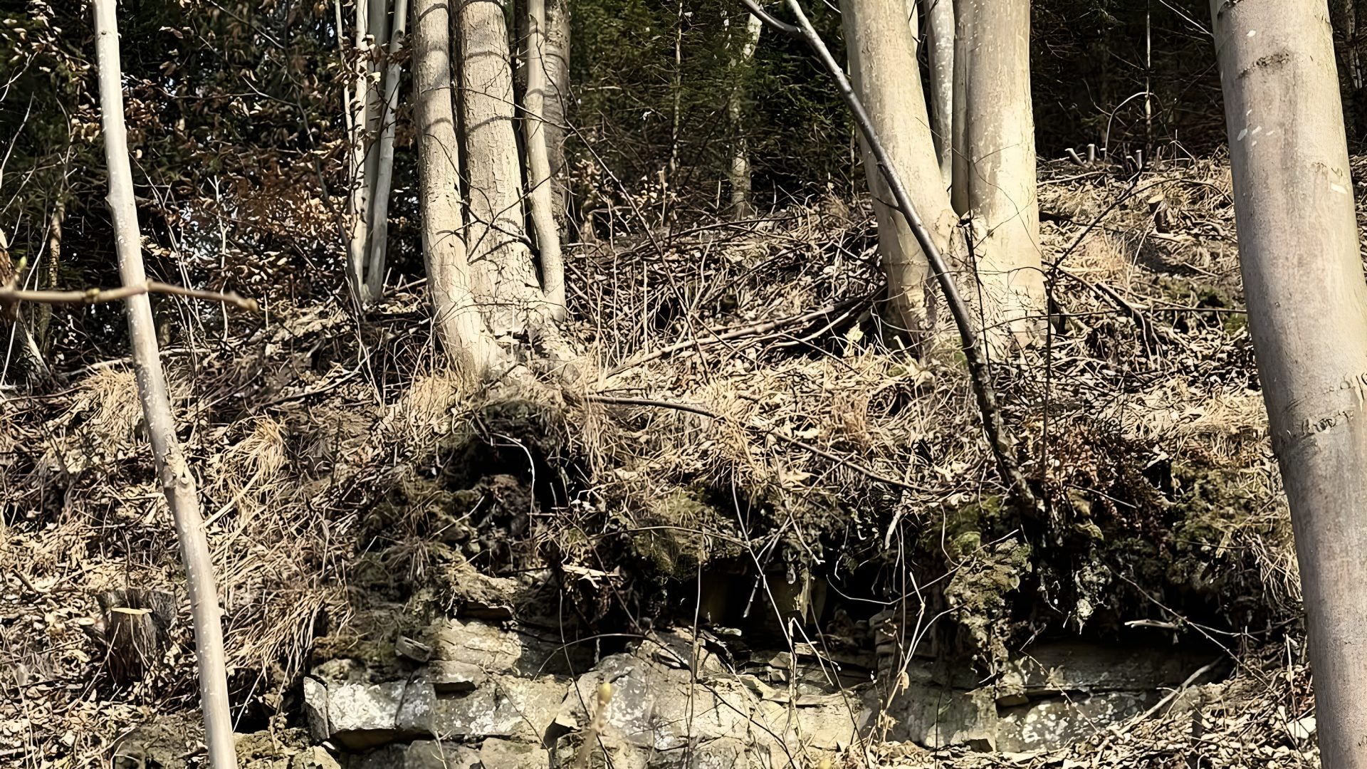 sdkjaskljdlkasld_upscaled