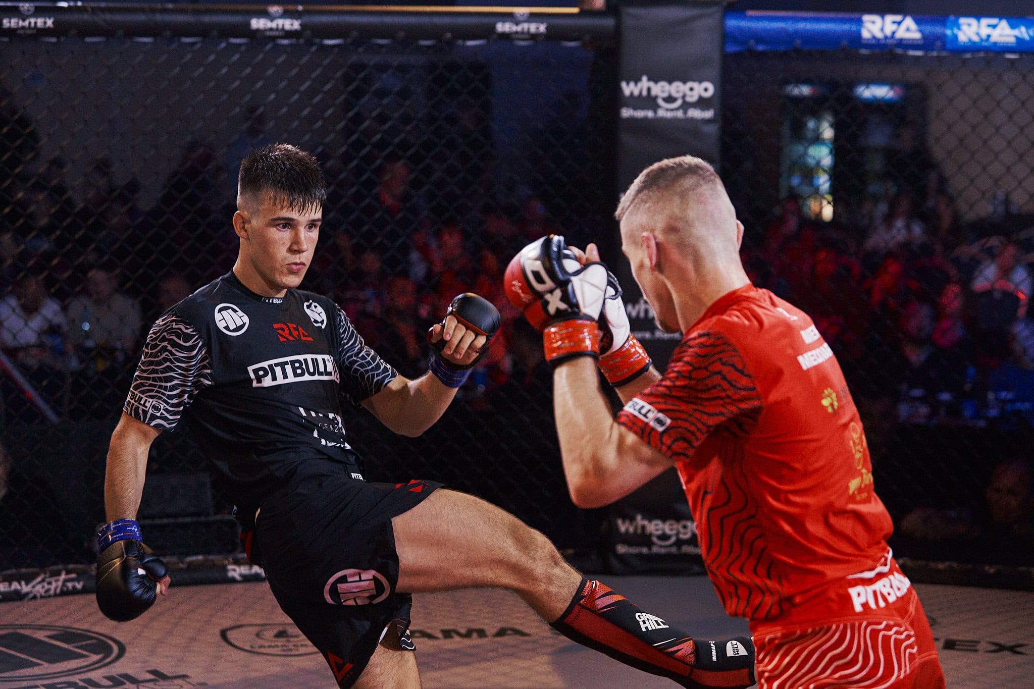 shot_by_ZETAK-0346_ZET6000-23-06-10