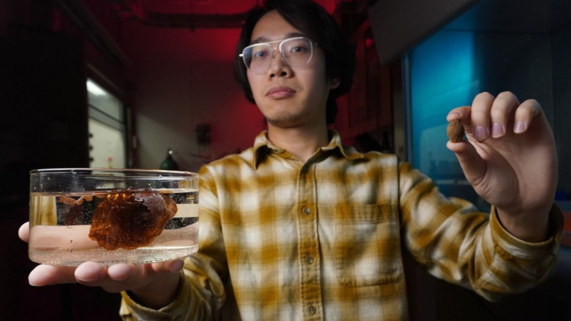 Autor myšlienky a výskumu, doktorand Changxu Sun. V rukách drží samotný orech malva pred a po namočení do vody.