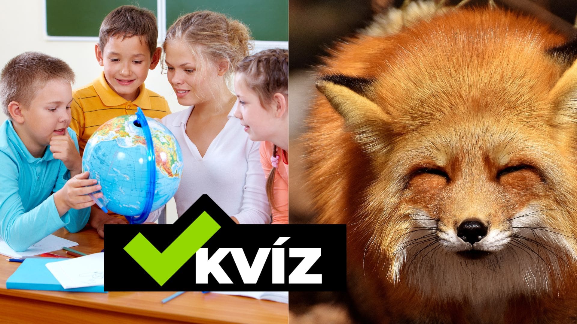 Kvíz o národných zvieratách