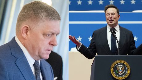 Robert Fico, Elon Musk