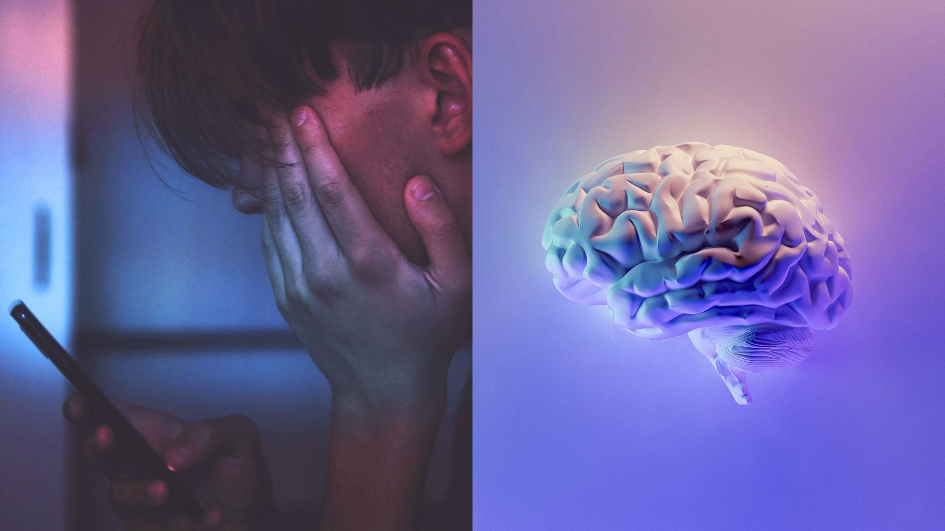 mozog, digital detox, mobil,