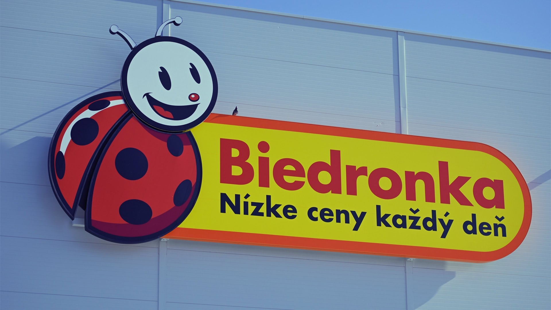 Biedronka