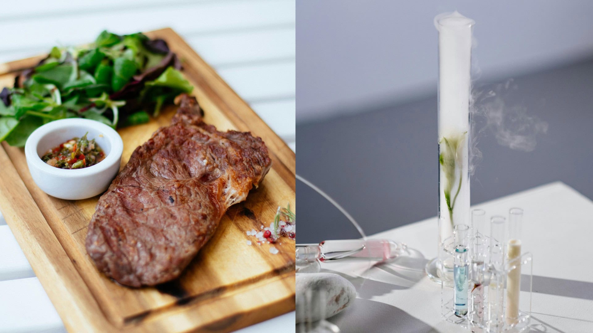 na snimke je maso v laboratoriu