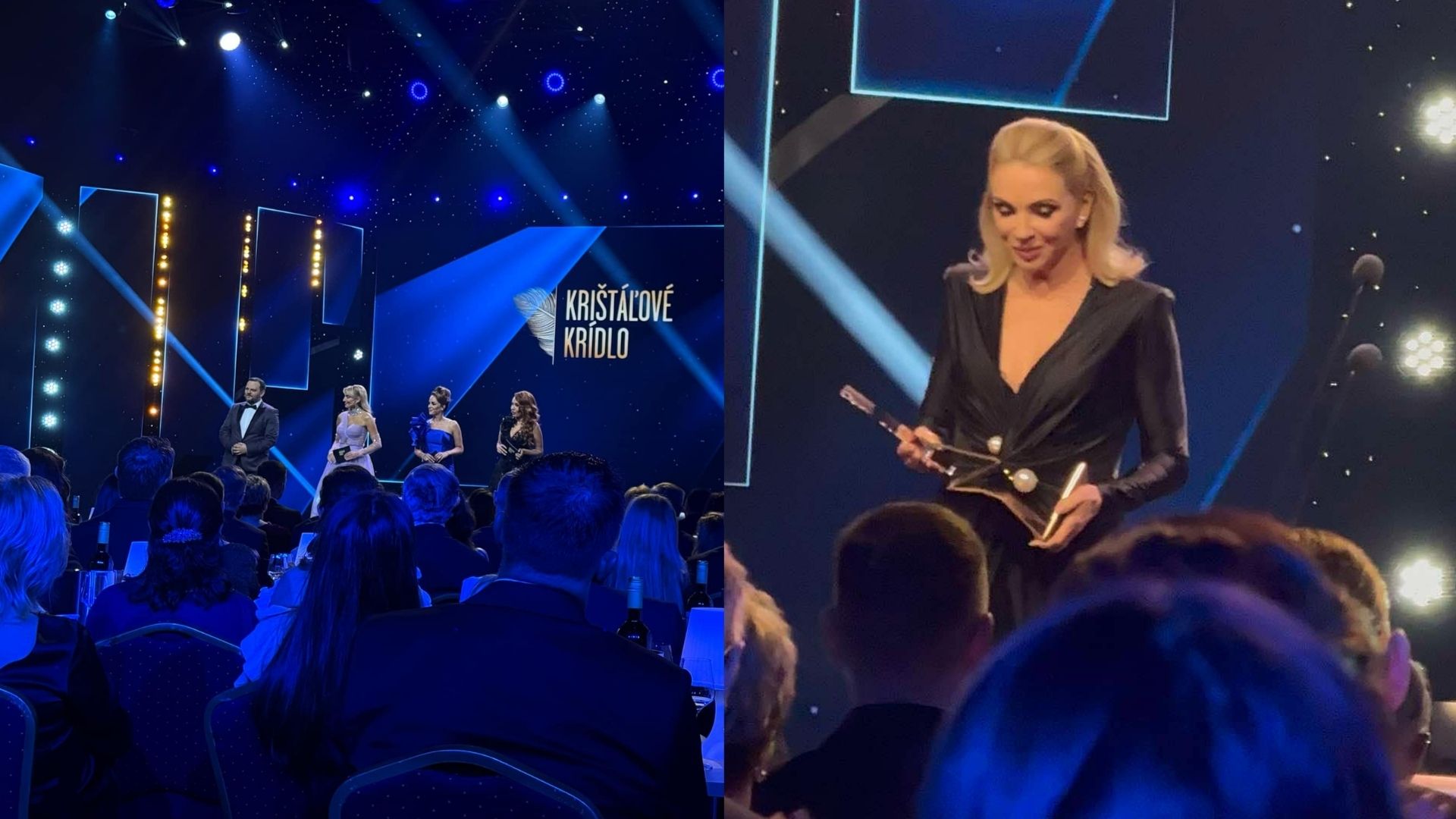 Krištáľové krídlo nominanti