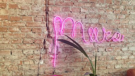 múza v šálke kaviareň