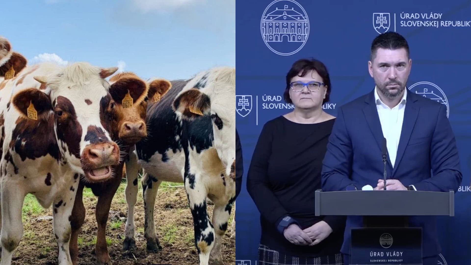 dobytok, minister pôdohospodárstva