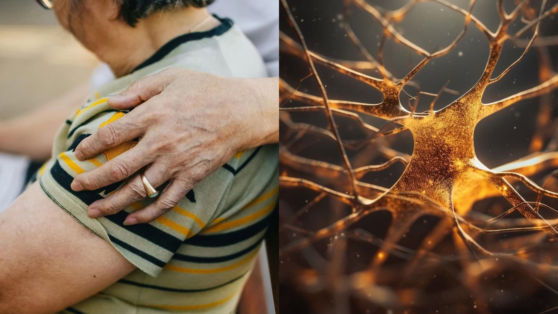 dôchodcovia, nervové zakončenia