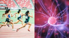 šport, beh, maratón, neurón