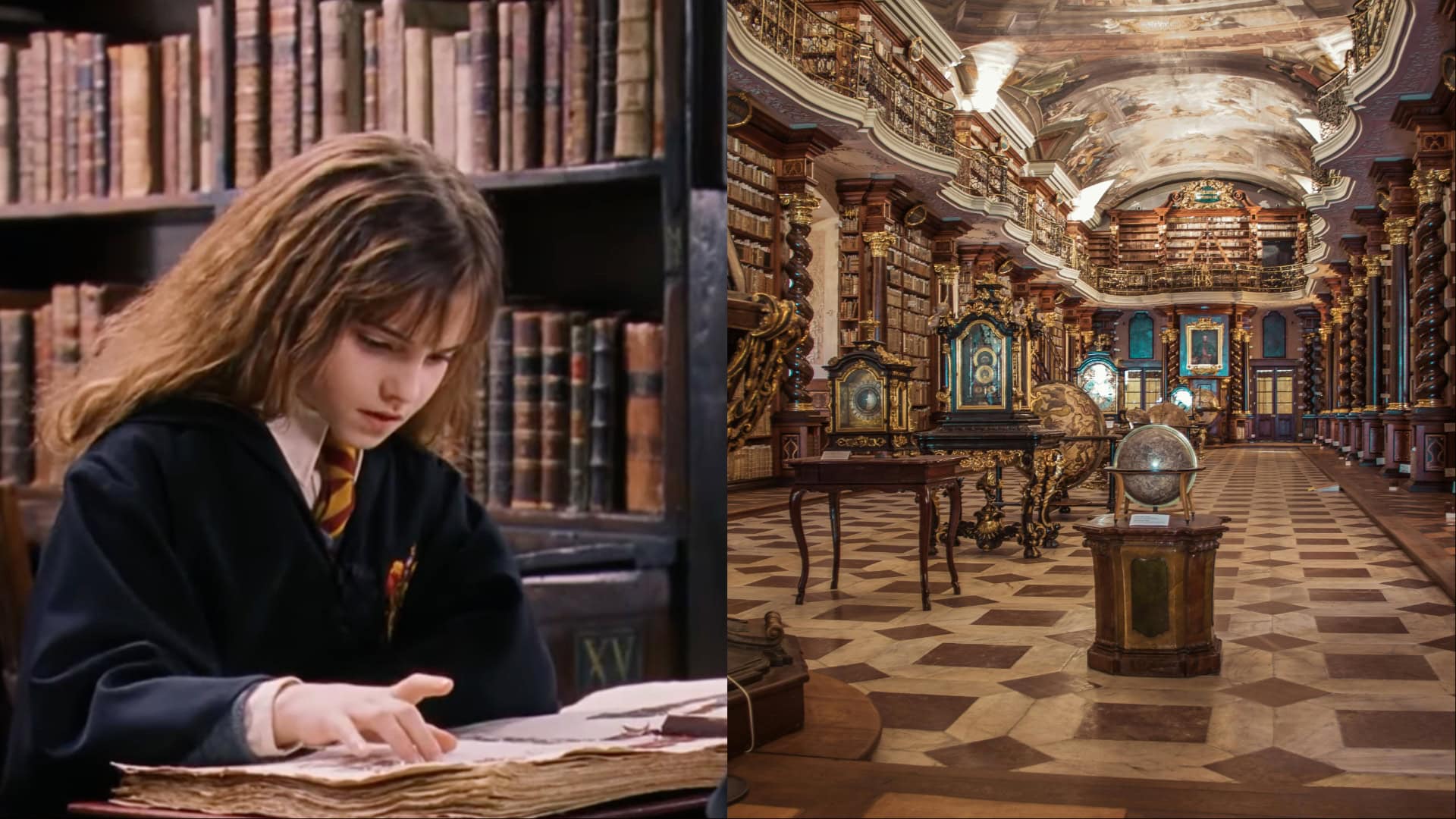 Harry Potter, knižnica