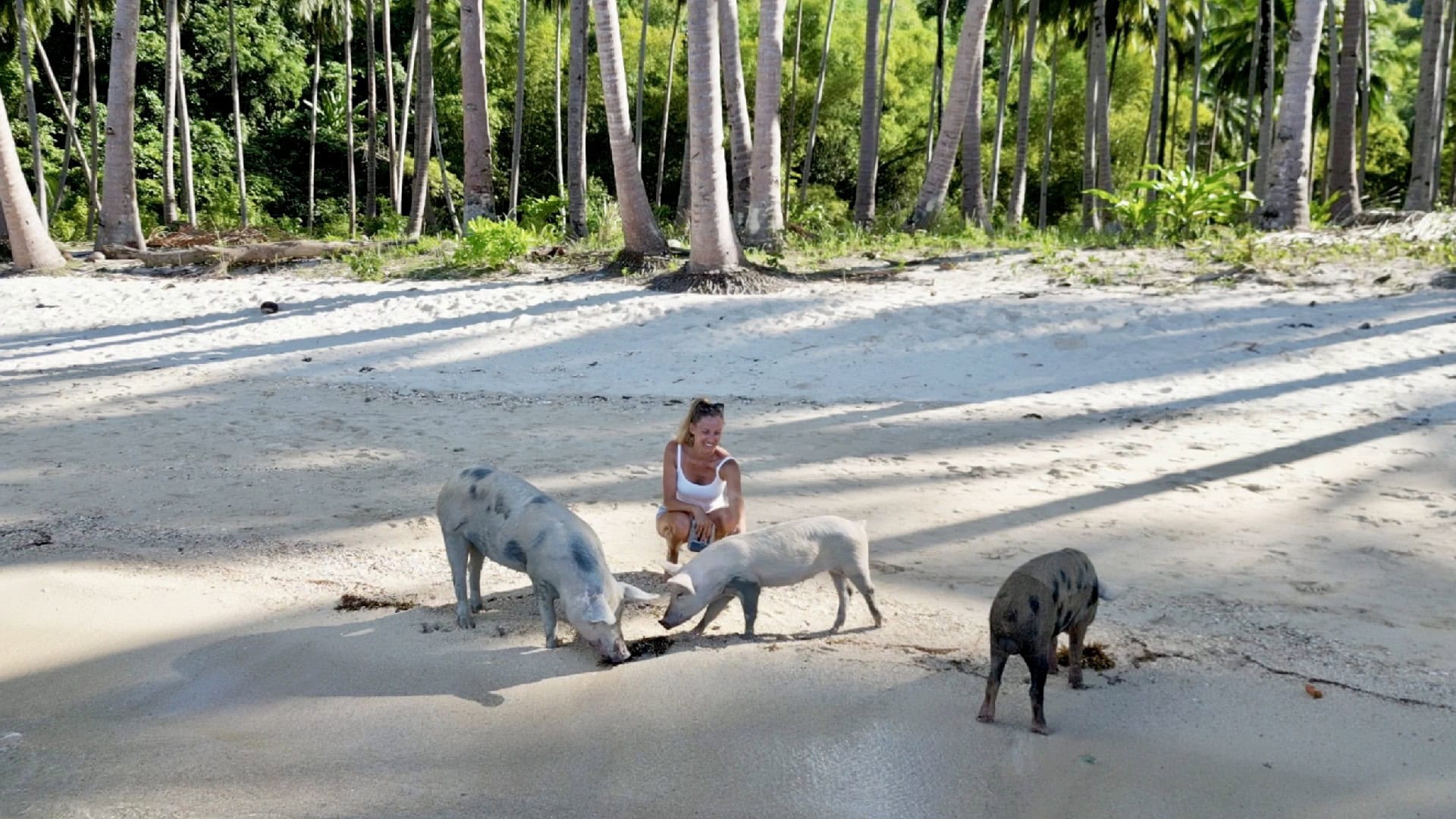 A Coconut Beach s prasiatkami
