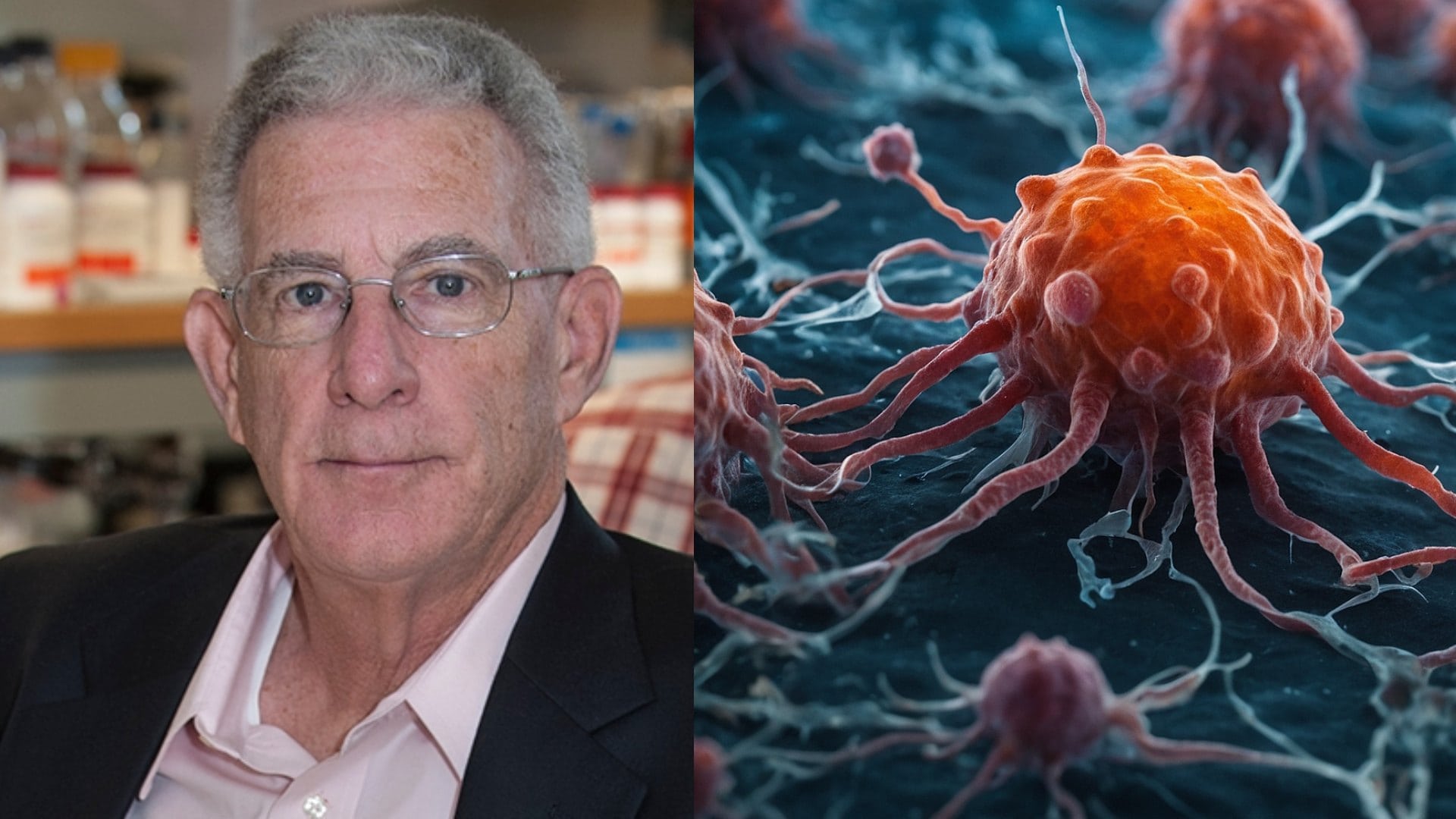 Profesor Thomas Seyfried pôsobí ako profesor biológie, genetiky a biochémie na Boston College.