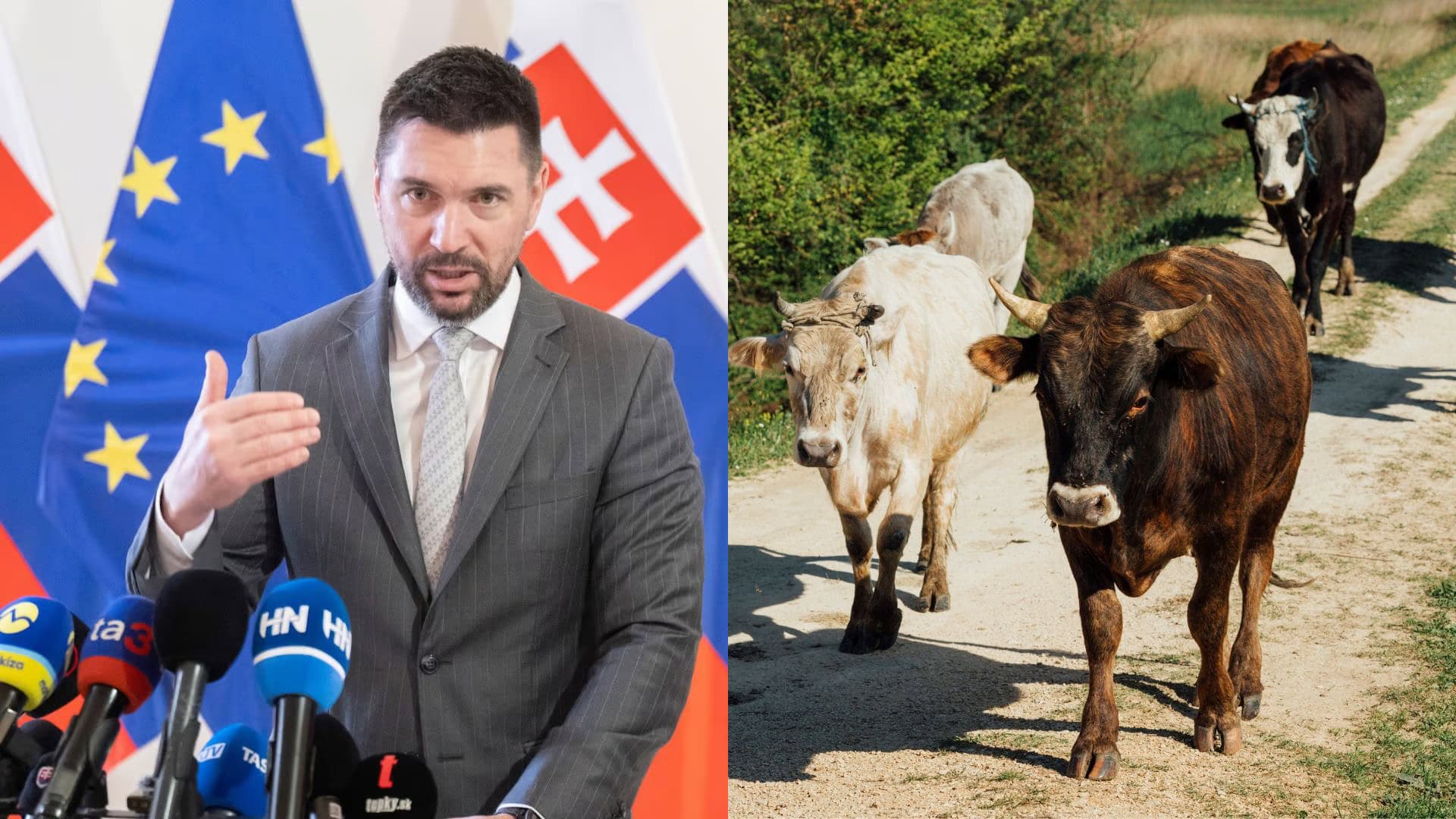 Takáč, slintačka a krívačka