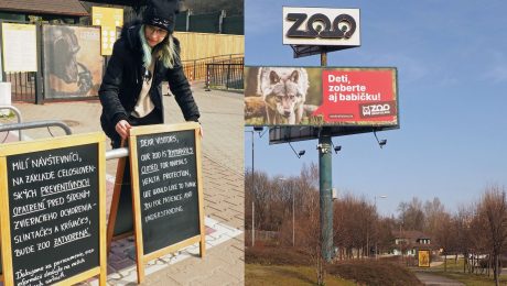 Zoologická záhrada v Bratislave je až do odvolania zatvorená. Dôvodom sú celoslovenské preventívne opatrenia