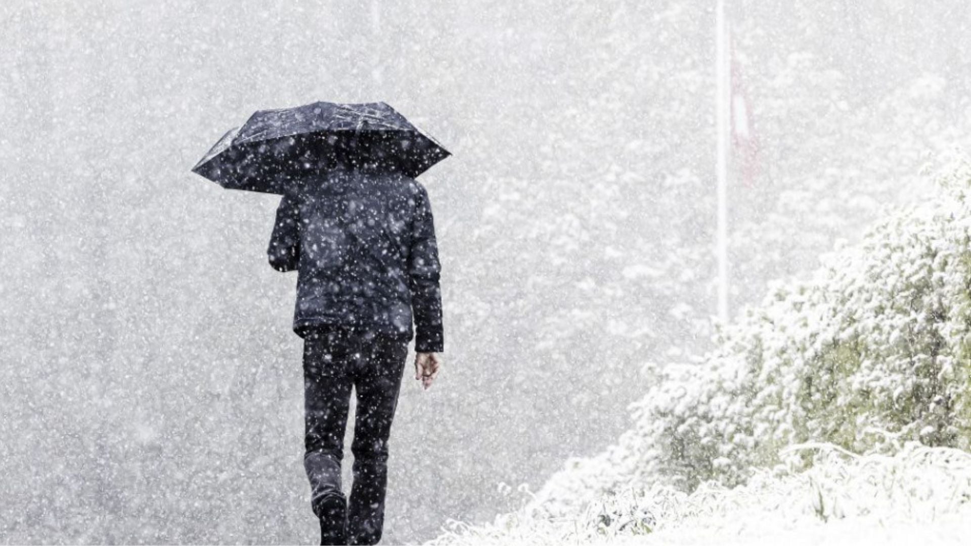 Muž s dáždnikom a sneh