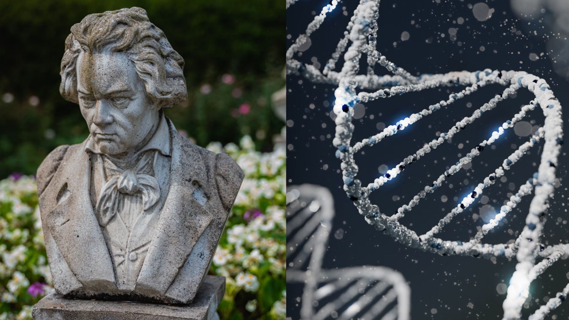 beethoven, dna