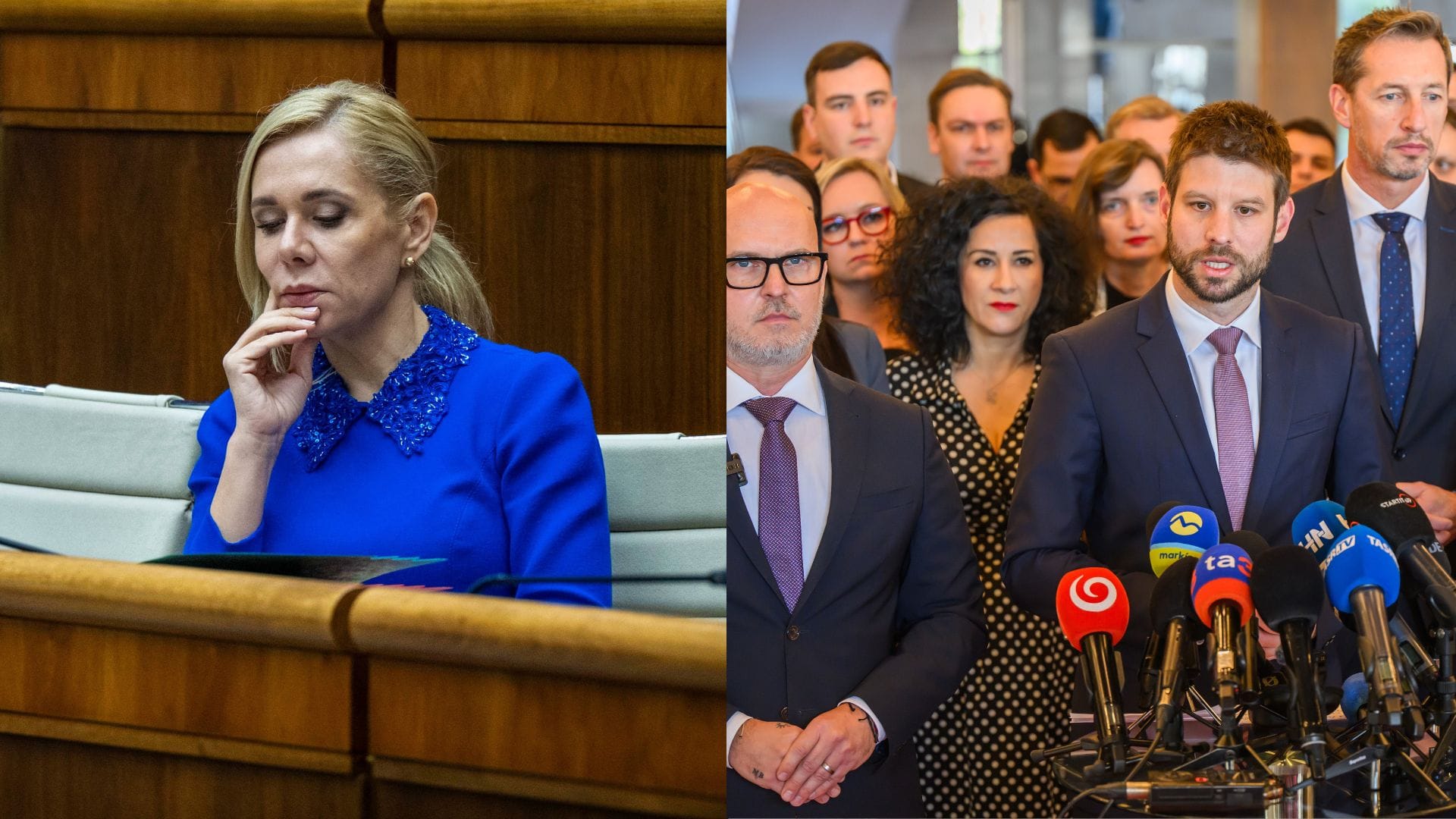 Denisa Saková, Opozícia