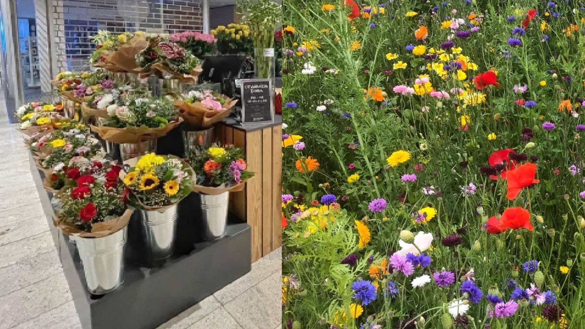 kvetinárstvo, kvety