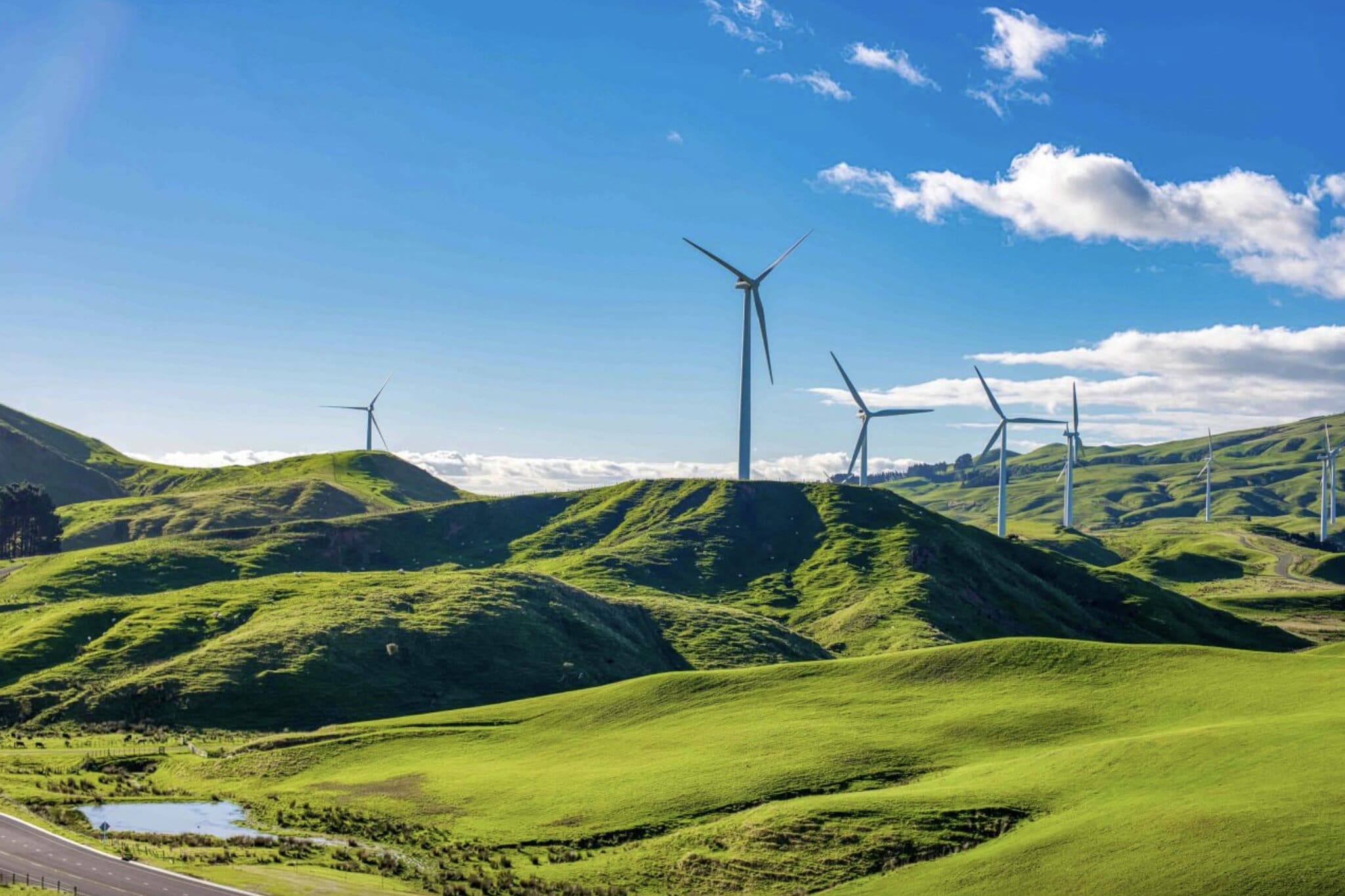 Makara, New Zealand, zdroj – blackley.co.nz