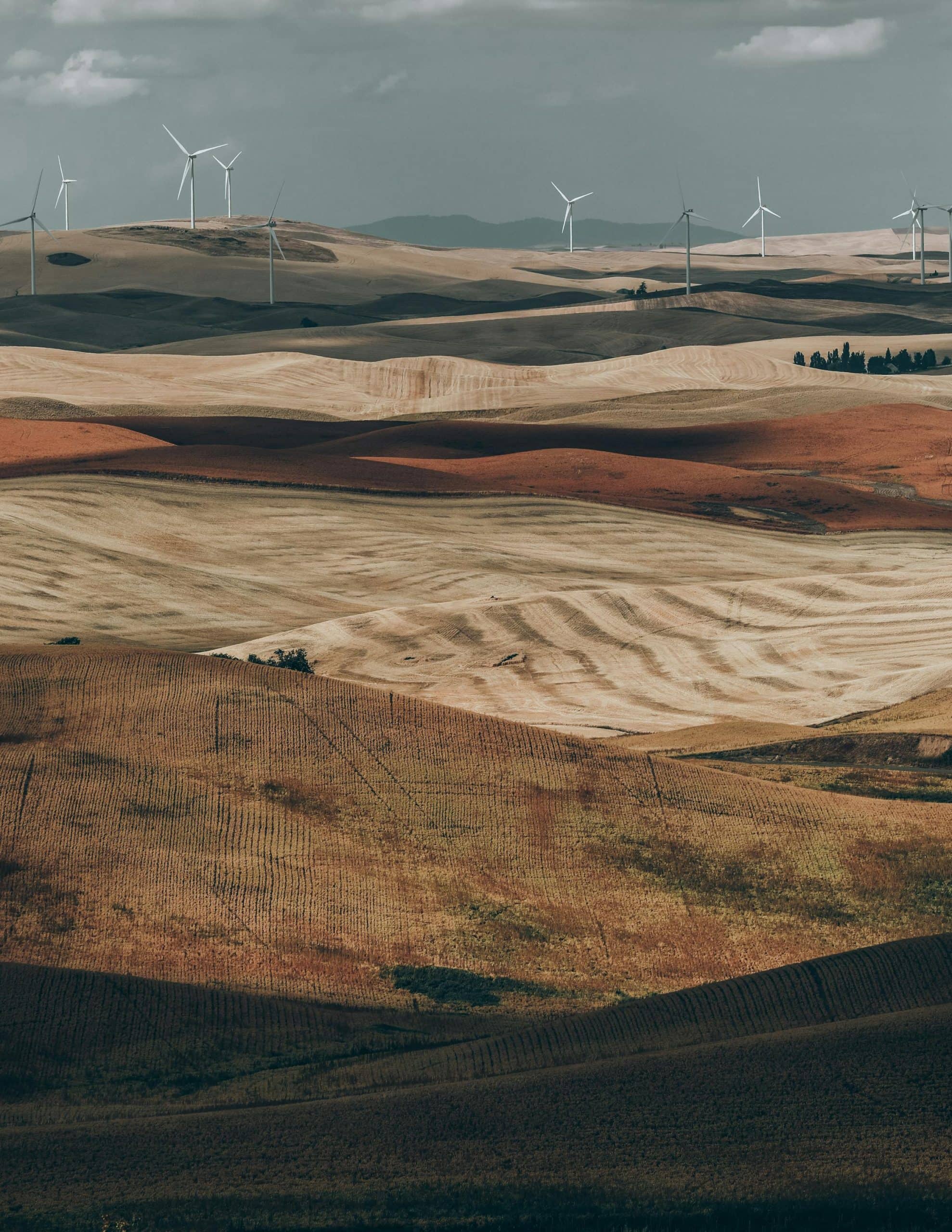 Palouse Wind Farm, zdroj – pexels.com