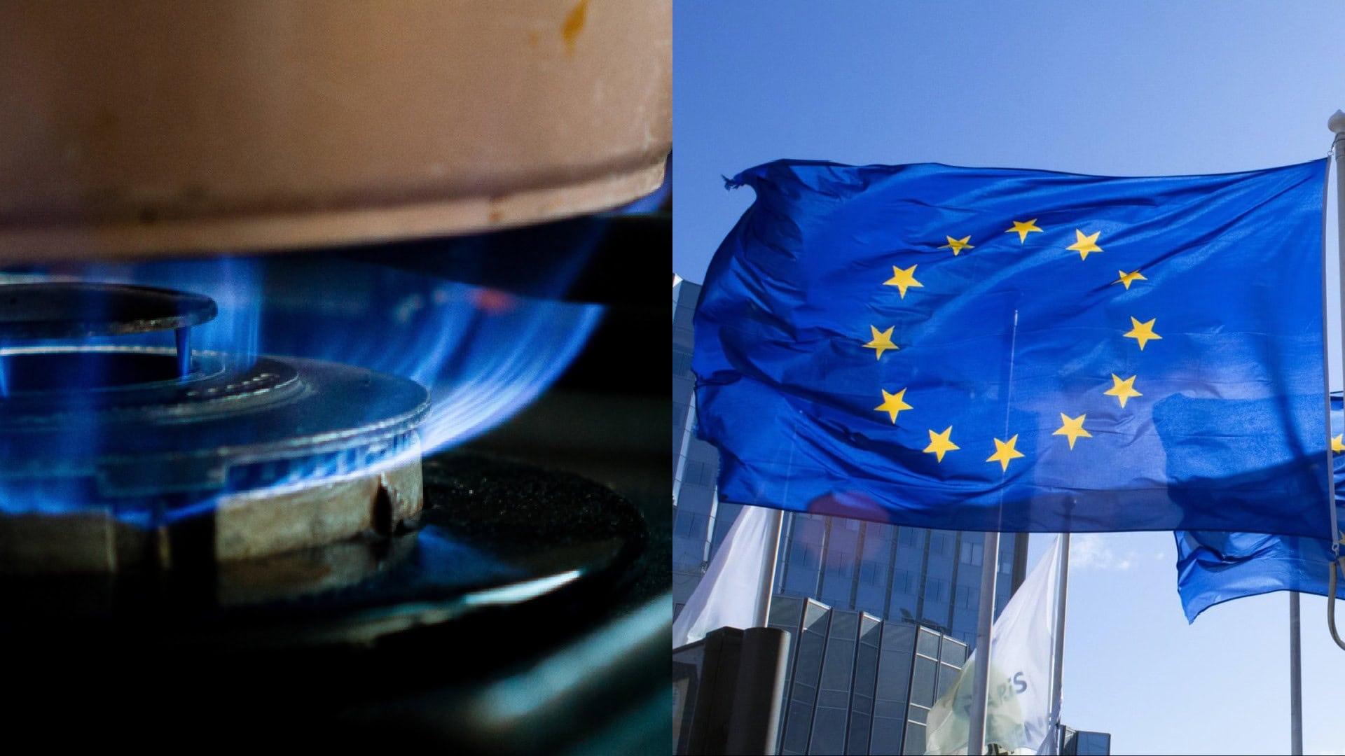 plyn, Európska komisia