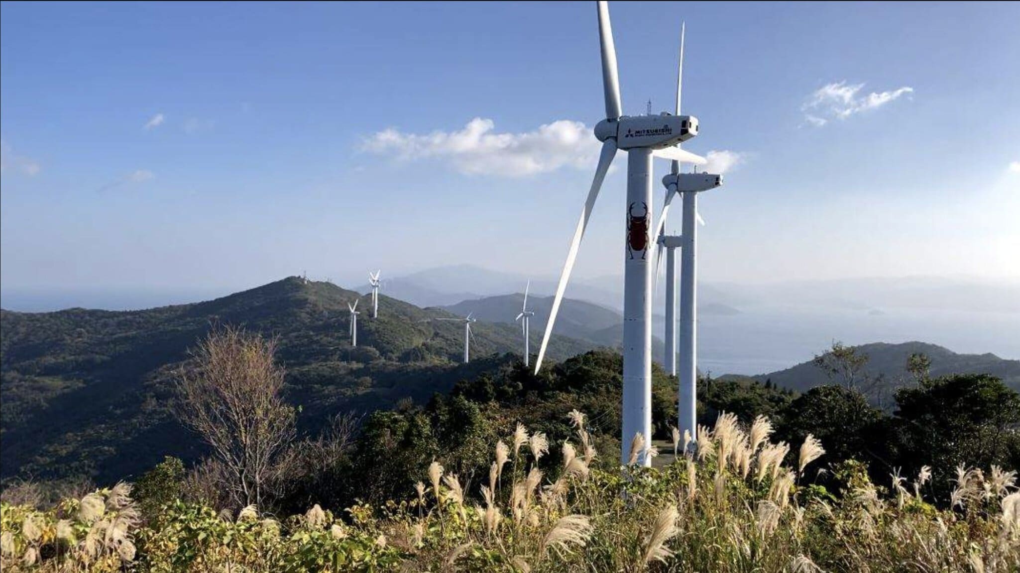 Setakazenooka, zdroj – inakalifestyle.com