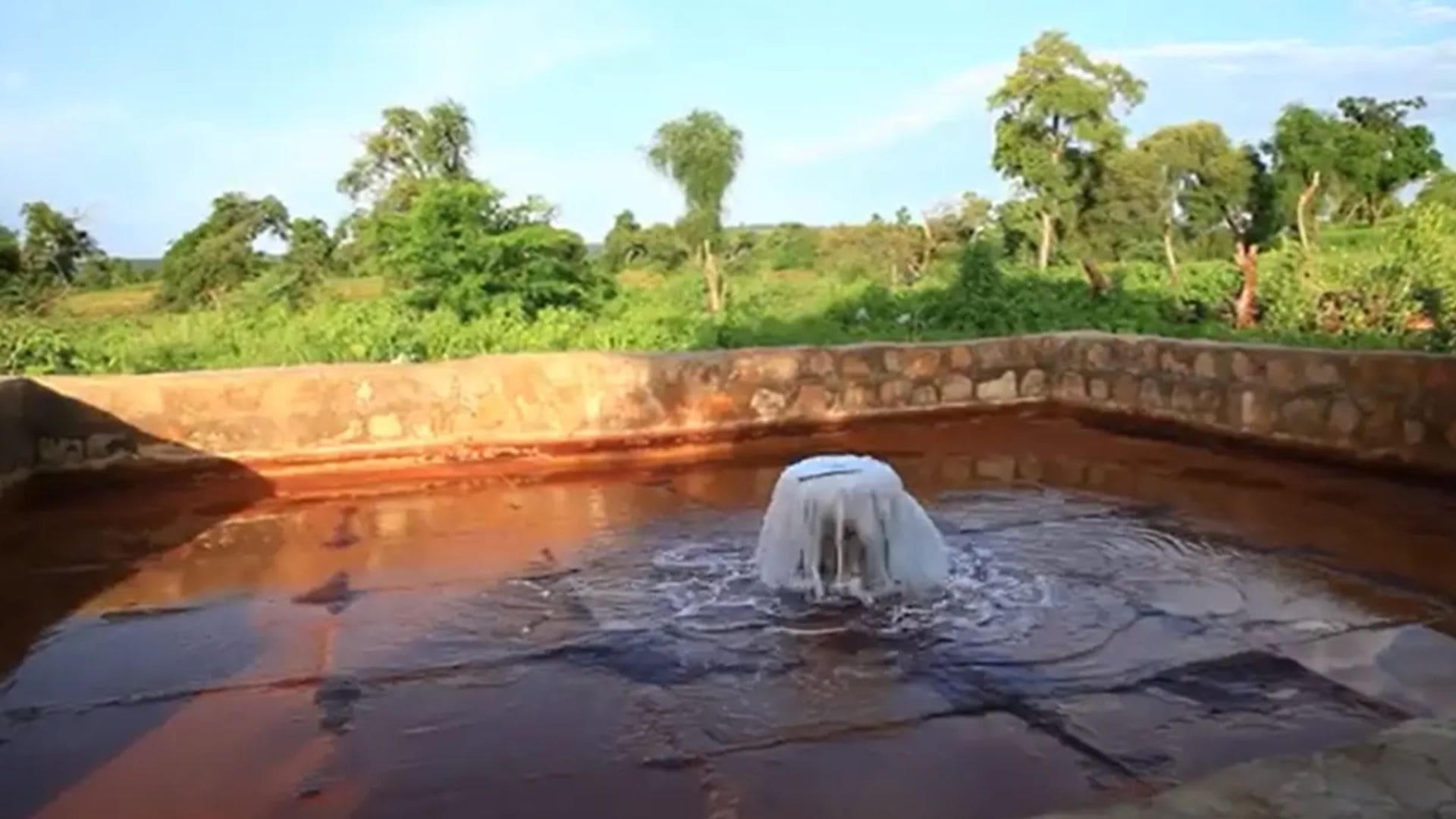 Bermel Giorgis a cholera vo vode