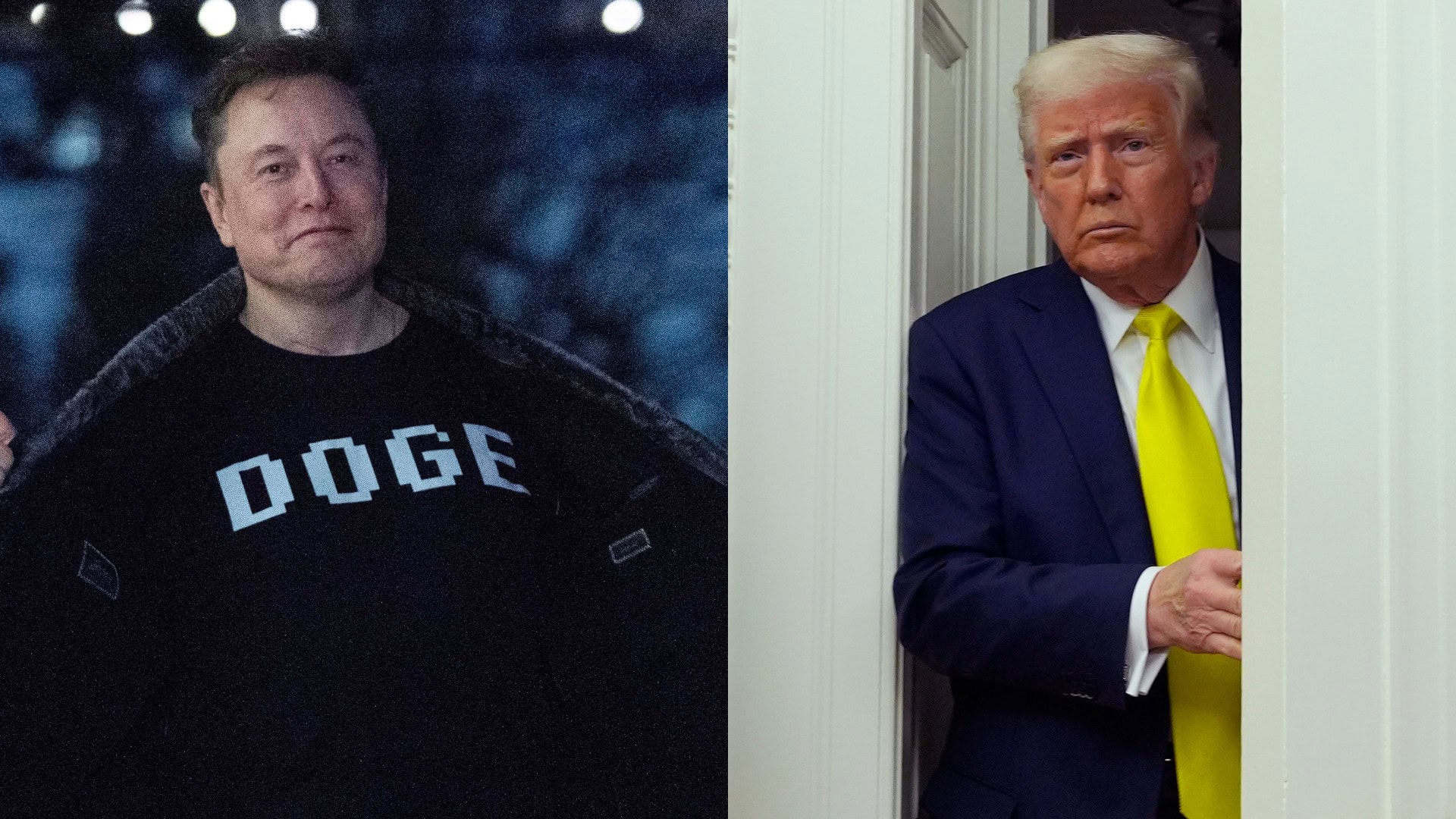 Elon Musk, Donald Trump