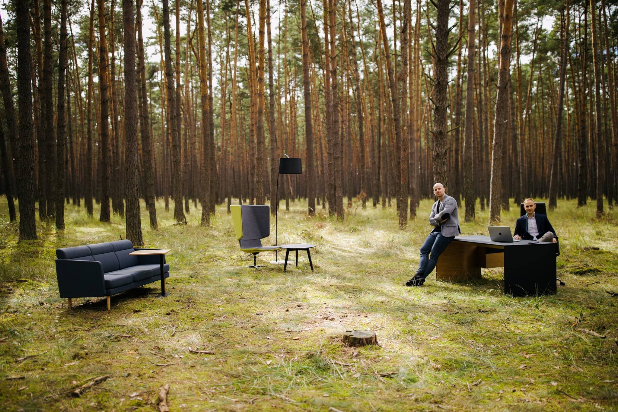 na snimke je les, mach, stromy