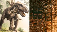 dinosauria koža