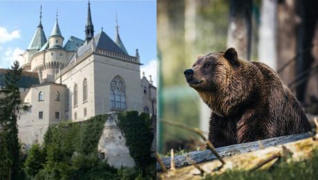 na snimke je zoo Bojnice