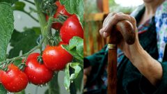 Vedci objavili spoločný