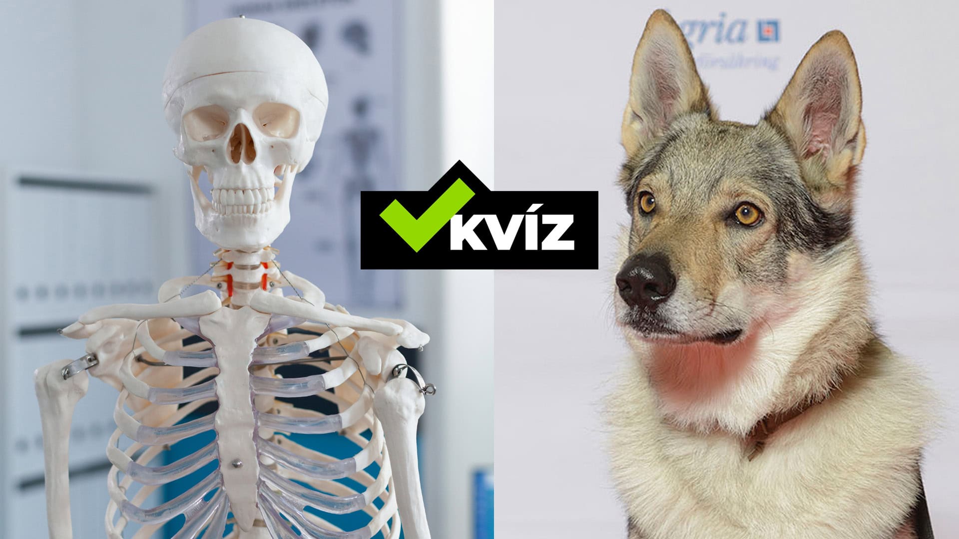 Ilustračná fotografia