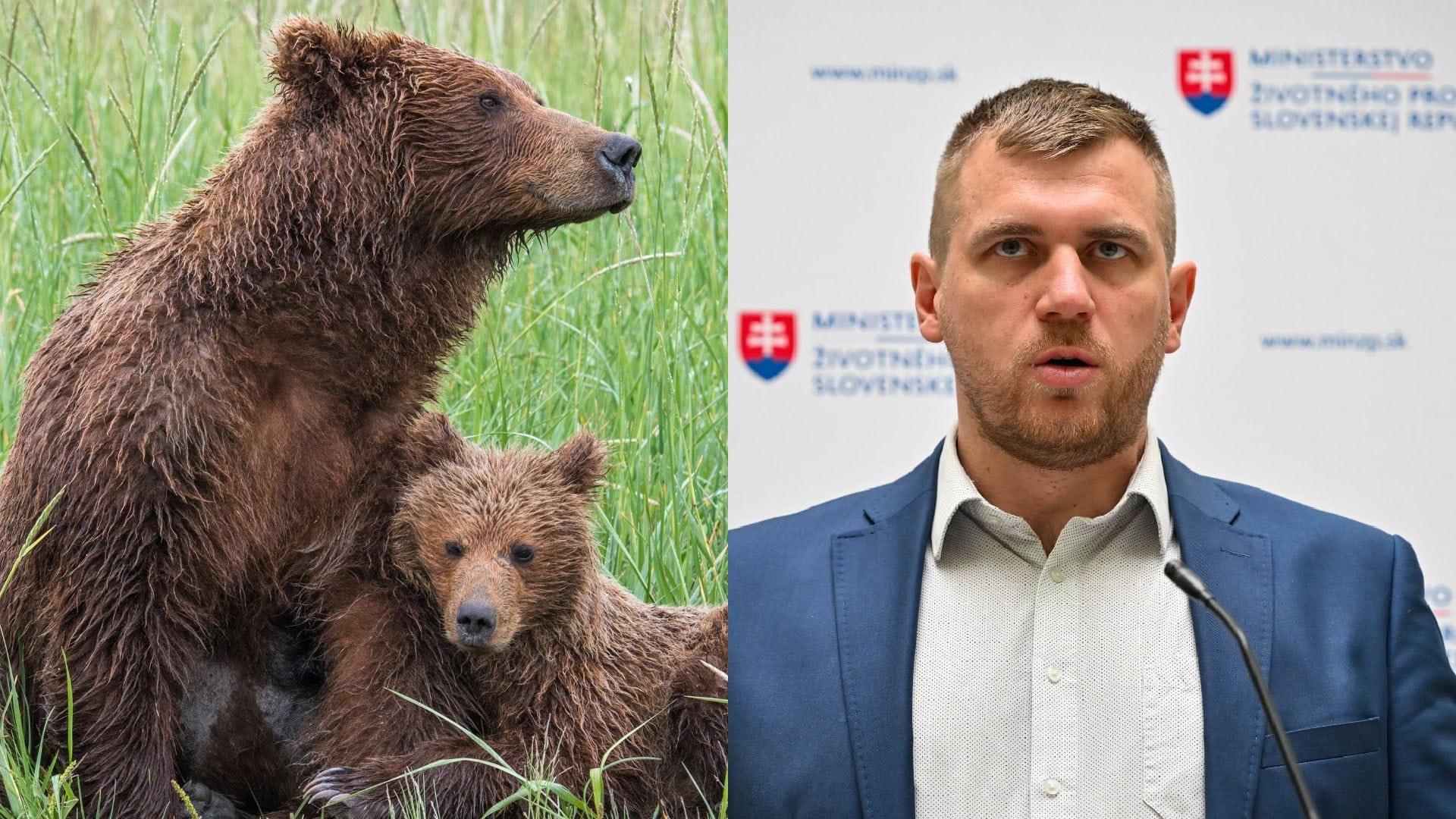 medvede, Filip Kuffa