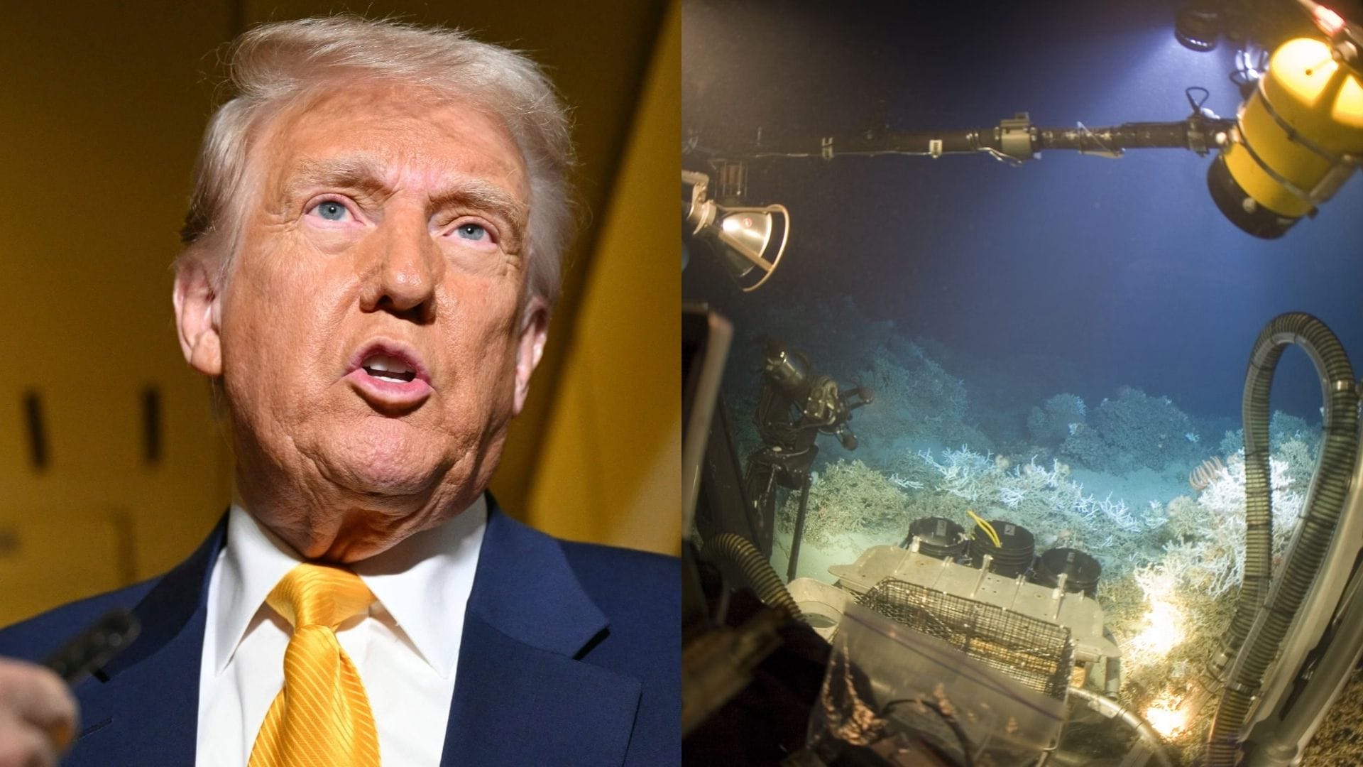 Trump, ťažba minerálov