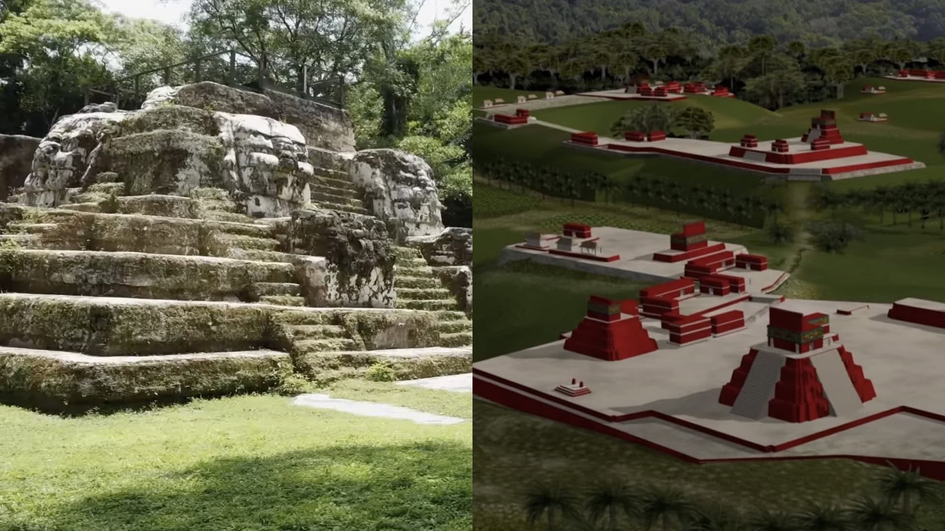 statené Mayské mesto, Nadácia Neuron