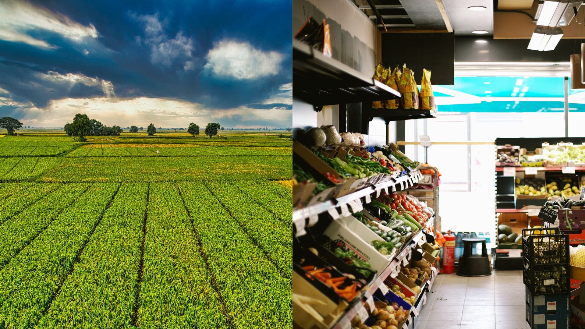 Ceny pšenice na svetových trhoch stúpli o 3%