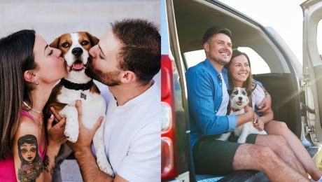 Chlpaté bábätká, psie