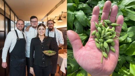 Belgicko a michelinské