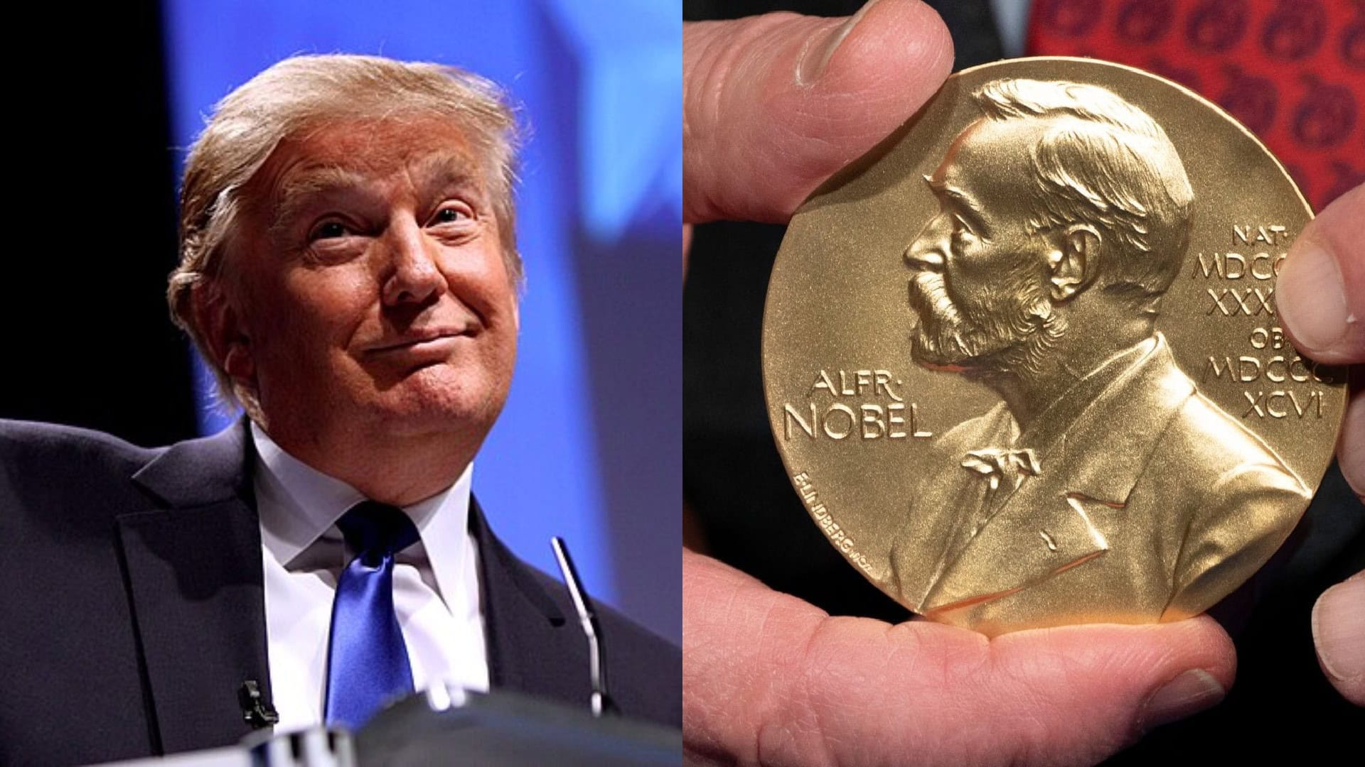 Trump, nobelova cena