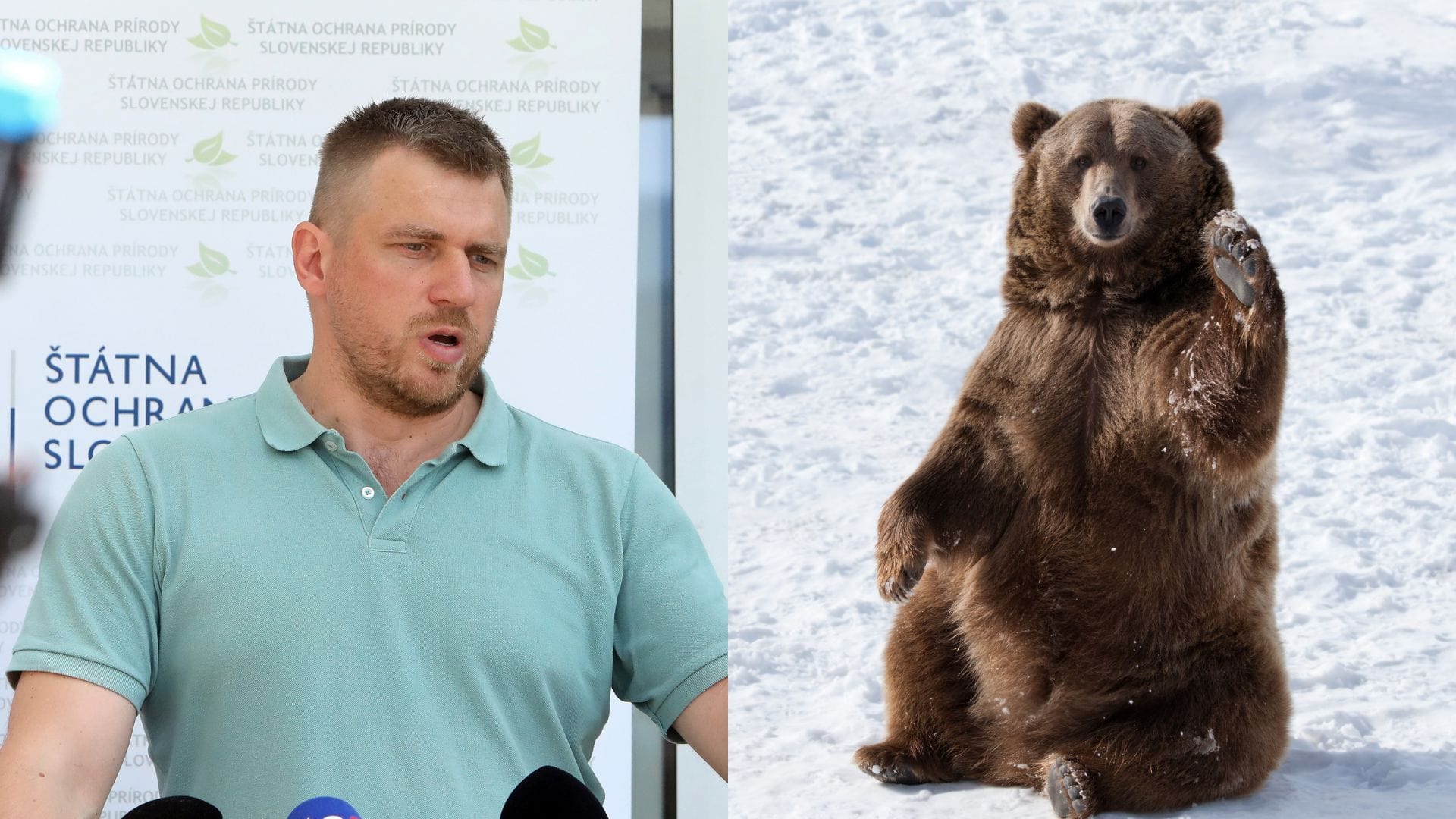 Kuffa: Odlovili sme 32 problémových medveďov