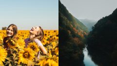 Dievčatá a slnečnice, príroda